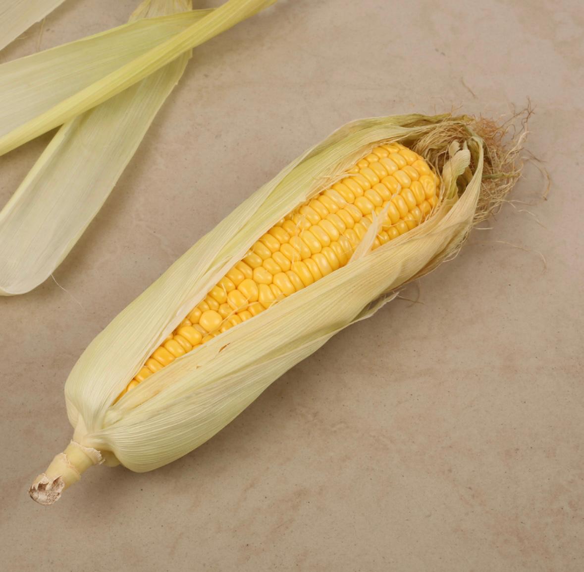 sweet corn cob makkkyache